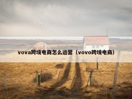 vova跨境电商怎么运营（vovo跨境电商）